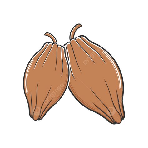 Cocoa Bean Icon, Cocoa, Bean, Icon PNG and Vector with Transparent ... 