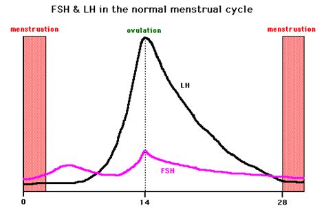 graph  fsh  lh levels   menstrual cycle primary care