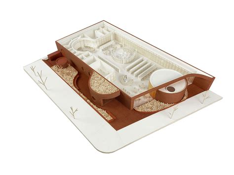 Park rangers explain the ecological importance of the baisley park 34