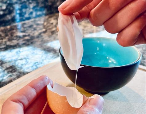 What Is Egg Shell Membrane at Keira Crampton blog