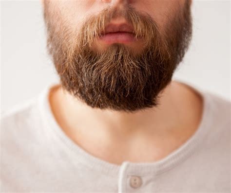describe  beard beards base