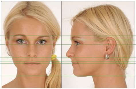 head side front view google head reference pinterest anatomy