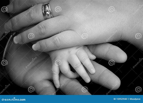 baby   stock photo image  trio