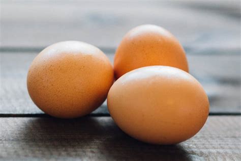 Starting with Protein? Here are the basics. - CONDITIONERD