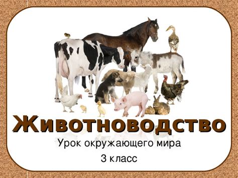 Конспект и презентация урока окружающего мира "Животноводство" (3 класс)
