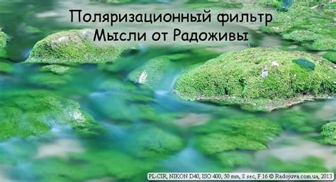 Что такое поляризационный фильтр - как пользоваться. | Радожива
