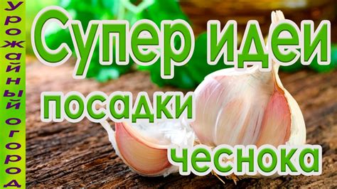 СУПЕР ИДЕИ ДЛЯ ПОСАДКИ ЧЕСНОКА И ЛУКА!!! - YouTube