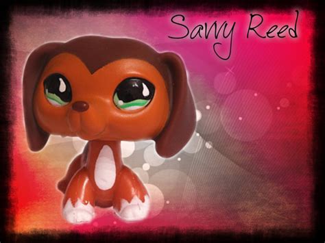 LPS Popular images Savvy Reed "PiZap.com" HD wallpaper and background ...