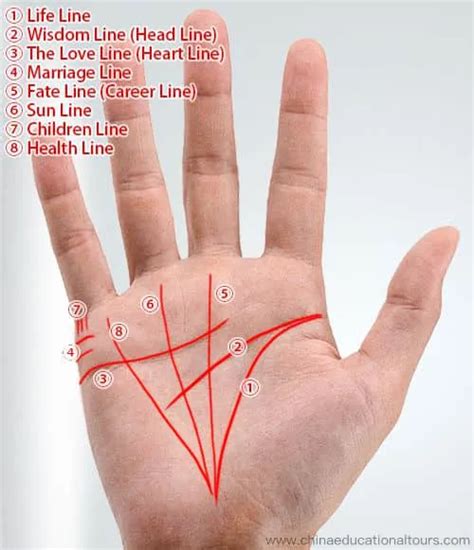 Palm Reading Basics