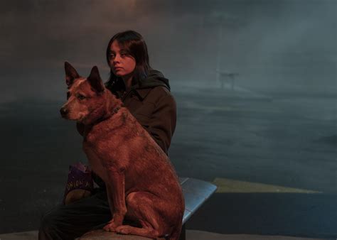 Orphan Black: Echoes Season 1 Episode 7 Review: The Dog’s Honest Truth