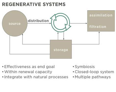 Regenerative Design as a Path to Resilience | College of Design