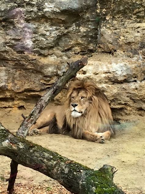 ZOO Bojnice a okolie | KIDSTOWN