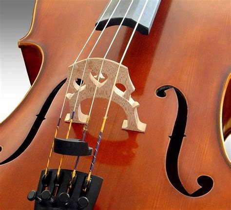 Виолончело: История и характеристики - VeroRhythms