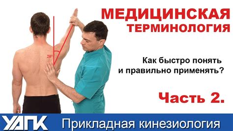 АБдукция или АДдукция? Как правильно? - YouTube