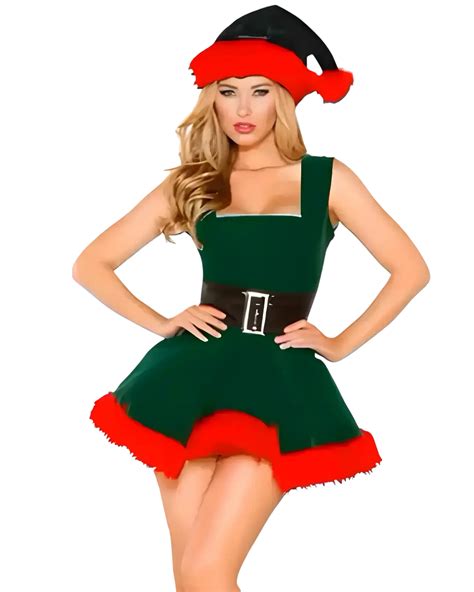professional mrs claus costume 1