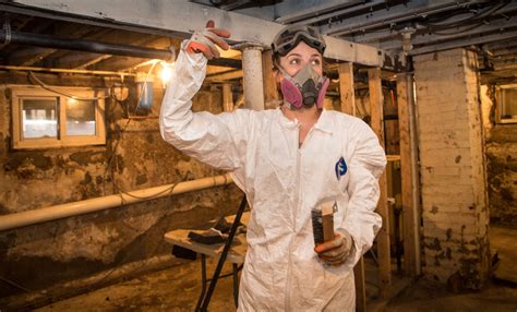 Green Life Restoration Services - Toronto Mould Removal