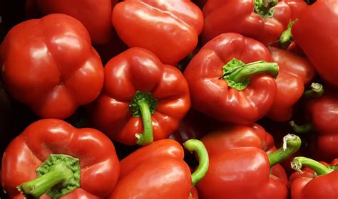 capsicum red kerikeri organic