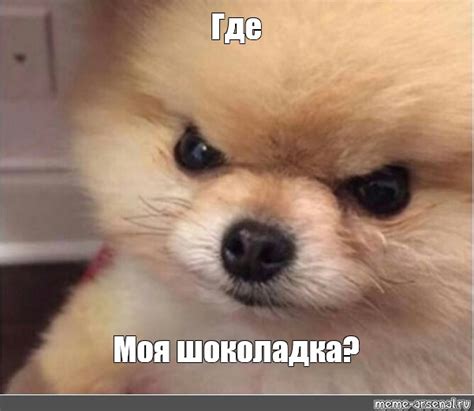 Мем: "Где Моя шоколадка?" - Все шаблоны - Meme-arsenal.com