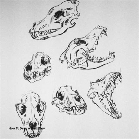 Animal Skeleton Drawing at PaintingValley.com | Explore collection of ...