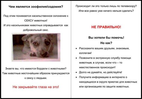 Зоофилия накрыла Европу › ПОЛИТИКУС
