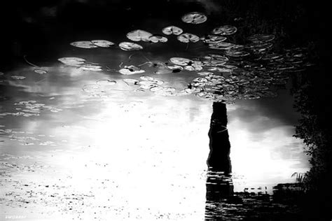 I N S I D E | Лес , озеро , голый режиссёр и несерьёзный тес… | Flickr