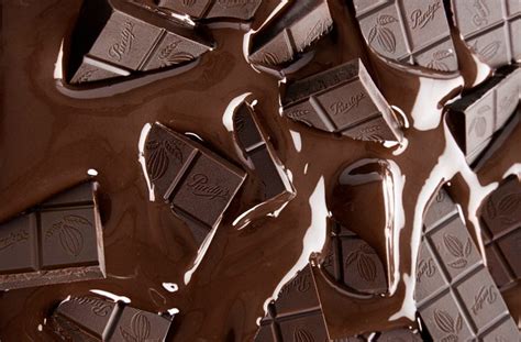 dark chocolate guide  journey  purdys rich  velvety dark