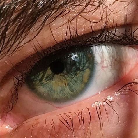 #глаза #eyes #макияж #makeup | Fotos de ojos, Imagenes de ojos, Ojos ...