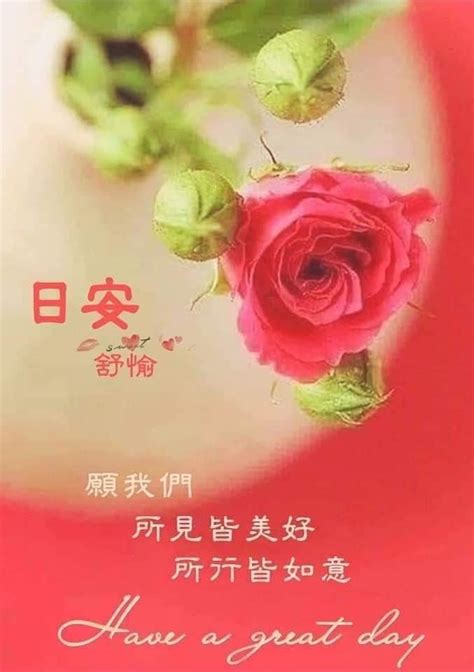 210 条 日安 点子，即刻收藏 | 早安祝福、早安語錄、圖片 以及更多