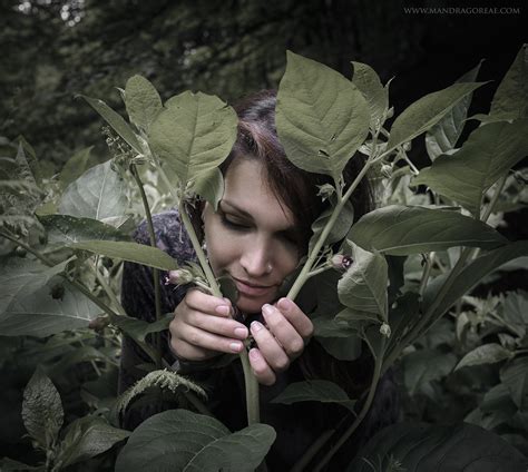 Atropa Belladonna reencounter 2020