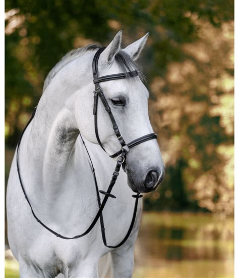 Bitless Bridle - Bitless Bridles - Kramer Equestrian