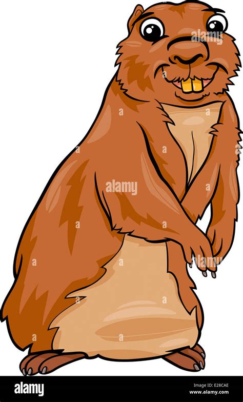 cartoon illustration  funny gopher animal stock photo alamy