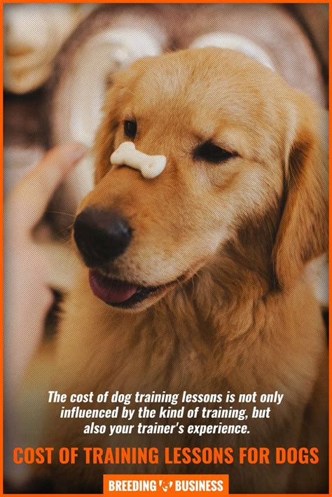 how much does it cost to train a guard dog