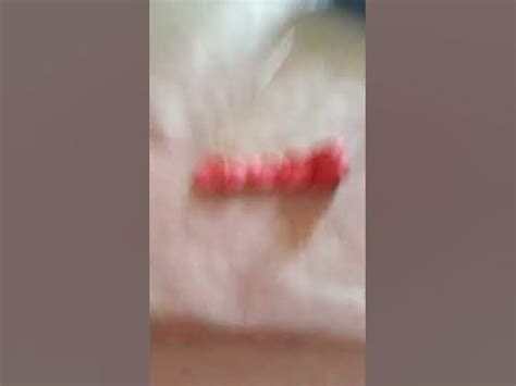 драянда з пластилину_/=#$^&*"'иь - YouTube