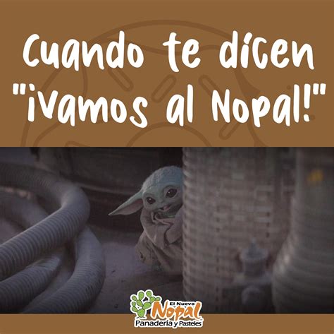 Panaderia El Nopal 1