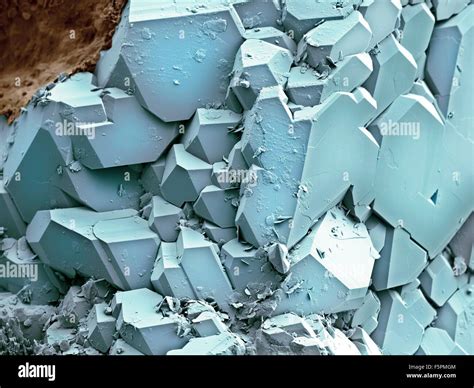Quartz crystals, coloured scanning electron micrograph (SEM). This ...