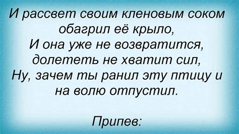 Слова песни Диана Гурцкая - Раненая птица - YouTube