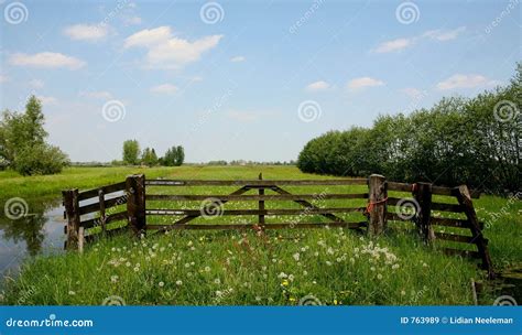 Green meadow stock image. Image of greens, fence, daytime - 763989