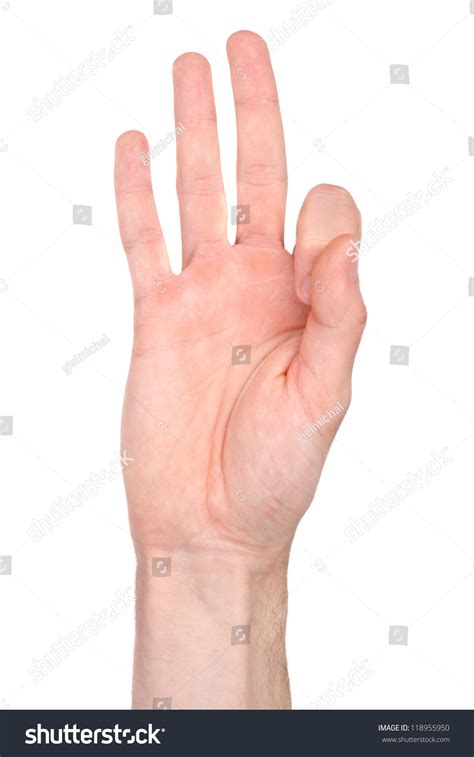 Number Nine Sign Language Stock Photo 118955950 | Shutterstock