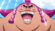 Urashima – OPwiki - Das Wiki für One Piece