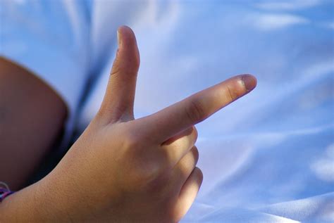 Hand Fingers Of - Free photo on Pixabay - Pixabay