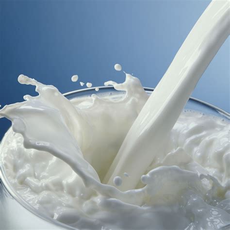 Milk : r/DaniDev