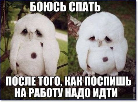 Самые смешные картинки в мире (149 изображений)