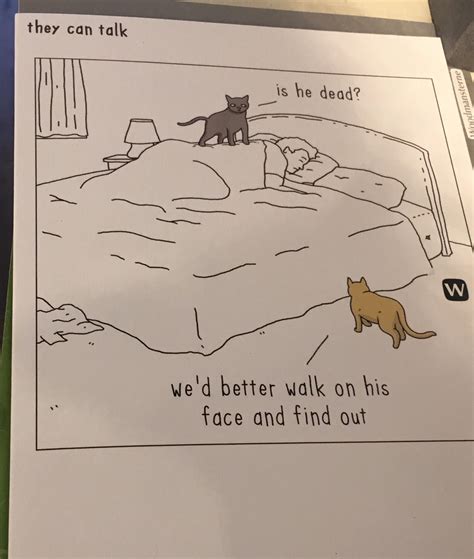 funny animal videos if they could talk 12