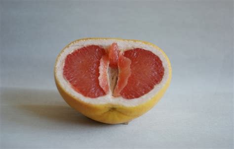 understanding  clitoris anatomy function  health insights