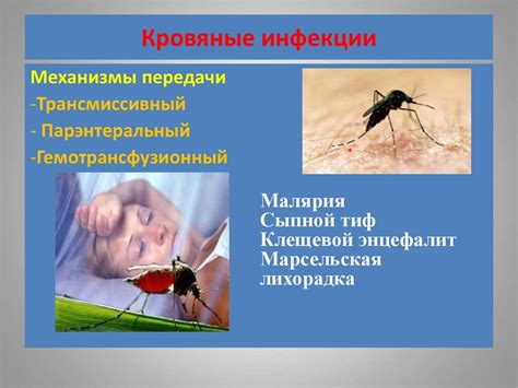 Инфекционные болезни. Их профилактика - online presentation