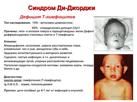Иммунопатология и аллергия - презентация онлайн
