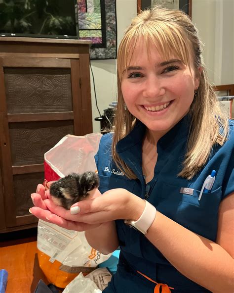 long valley animal hospital nj 7