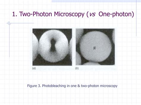 confocal  photon microscopy powerpoint  id