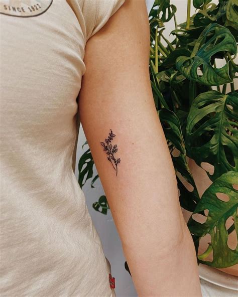 SAGE Utah Tattoo Artist on Instagram: “🌲 December birth flower is SO ...