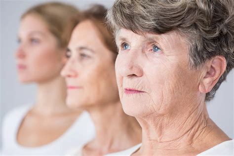 cellular theories  aging modern aging theories fatty